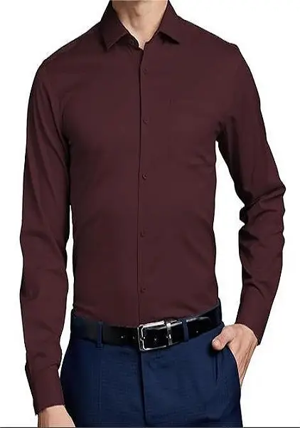 Wrinkle- Resistant Regular Fit Formal Shirt For Men Long Sleeve