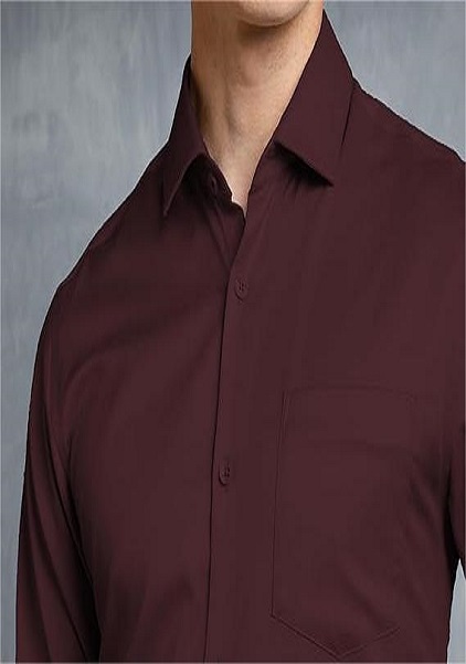 Wrinkle- Resistant Regular Fit Formal Shirt For Men Long Sleeve